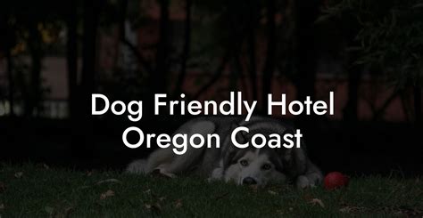 dog friendly vacation rentals oregon coast|Top pet